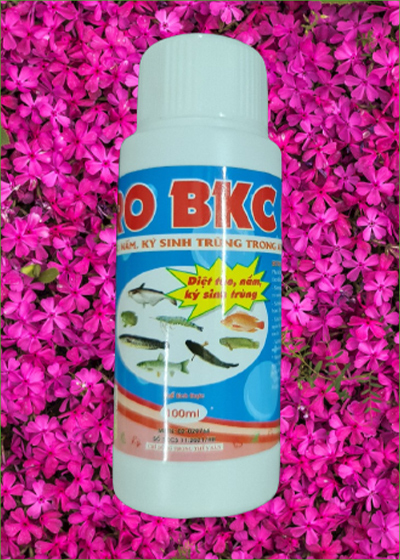 Hero BKC 80